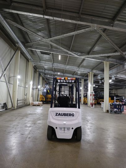 Вилочный погрузчик Zauberg EF20 XCY2, 2026 #4